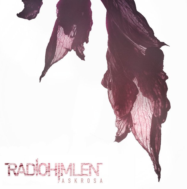 Radiohimlen’s ‘Askrosa’: A Nostalgic Synth Journey